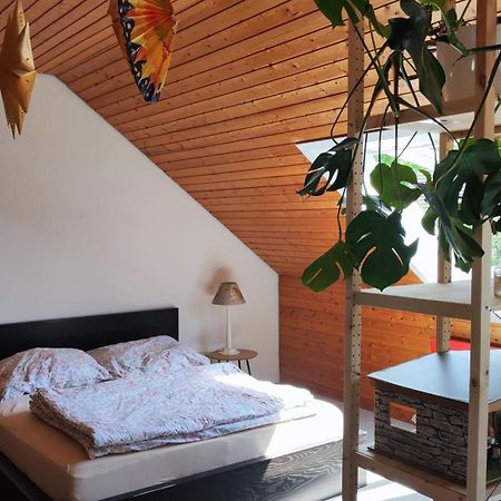 Big Cozy Entire Family Appartment Hannover Bagian luar foto